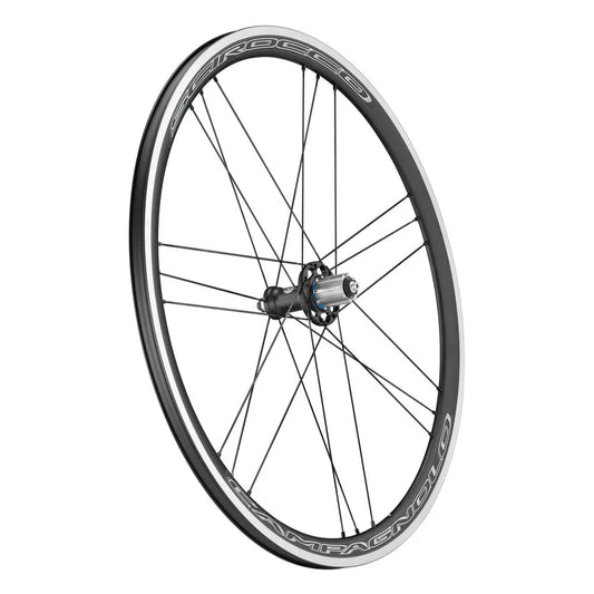 Hinterrad CAMPAGNOLO SCIROCCO 35 C17 mit Reifen