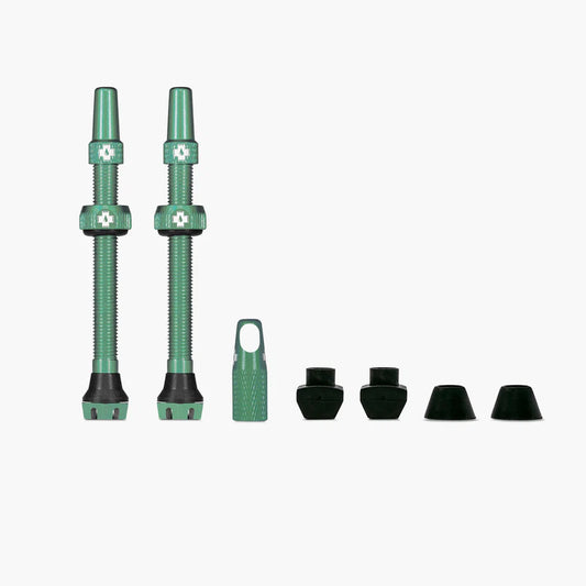 Tubeless Valves V2 MUC-OFF Türkis
