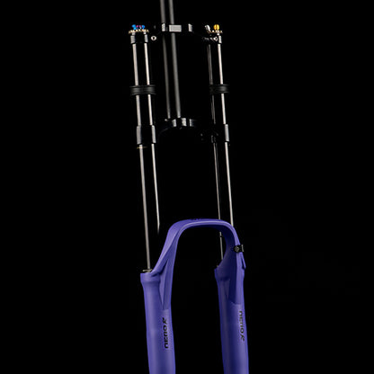 Gabel FORMULA NERO R 29" Achse 20x110mm Boost Ultraviolett