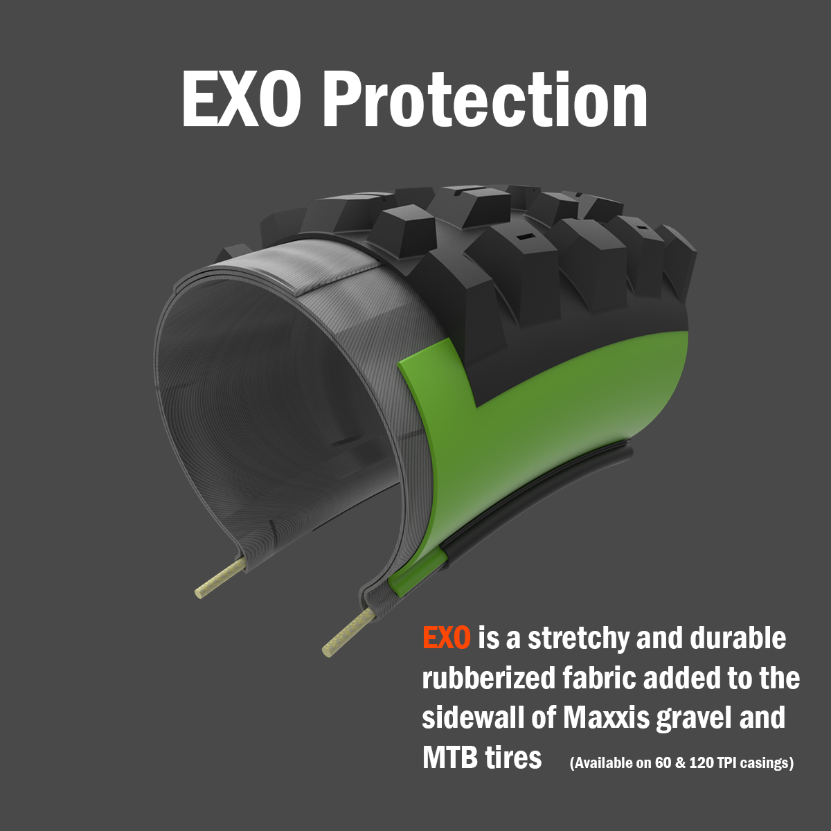 MAXXIS EXO-Schutz – Querschnitt