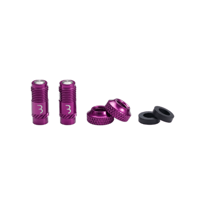 Ventilkerne BBB CORE CAP Violett (x2)