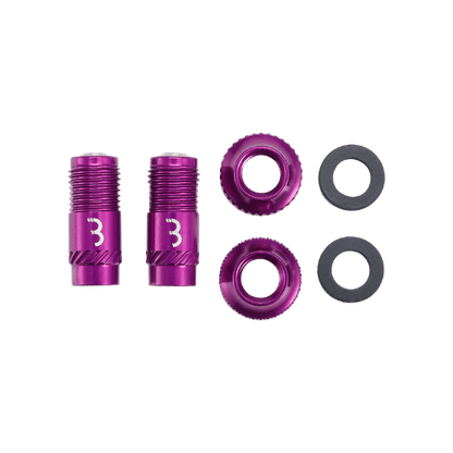 Ventilkerne BBB CORE CAP Violett (x2)