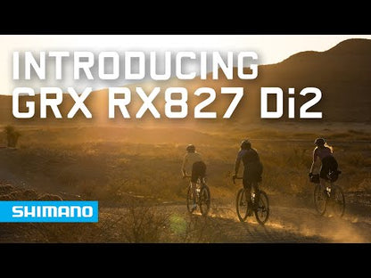 Gruppe SHIMANO GRX RX827 Di2 1x12V