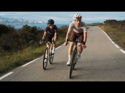 Rahmen-Kit ENVE FRAY Braun