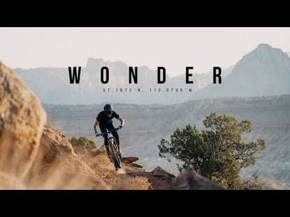ROCKSHOX SID SL ULTIMATE RACE DAY 3P FLIGHT ATTENDANT USB-C D2 Federgabel 29", konischer Gabelschaft, 15x110-mm-Boost-Achse, Schwarz