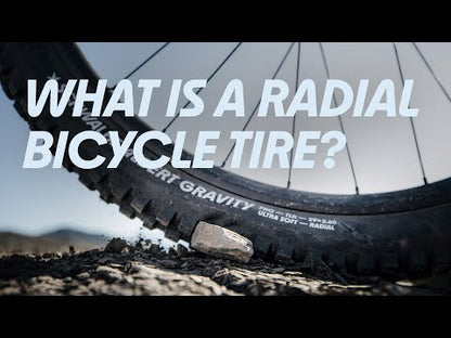 Reifen SCHWALBE ALBERT 29x2.60 GRAVITY PRO ADDIX SOFT RADIAL Tubeless Ready Faltreifen