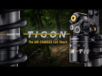 CANE CREEK TIGON Air/Coil Trunnion Dämpfer