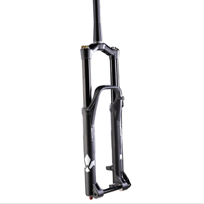 Gabel FORMULA SELVA S 29" Achse 15x110mm Boost Schwarz